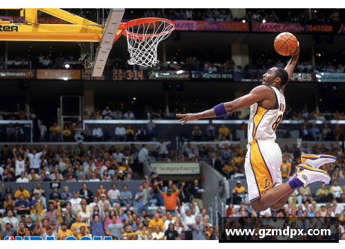 掌中彩NBA明星狐狸：探索这些在球场上独具魅力的动物