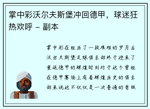 掌中彩沃尔夫斯堡冲回德甲，球迷狂热欢呼 - 副本