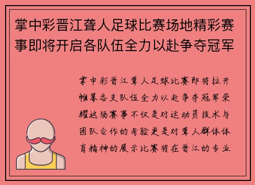 掌中彩晋江聋人足球比赛场地精彩赛事即将开启各队伍全力以赴争夺冠军荣耀