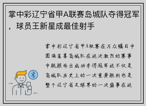 掌中彩辽宁省甲A联赛岛城队夺得冠军，球员王新星成最佳射手