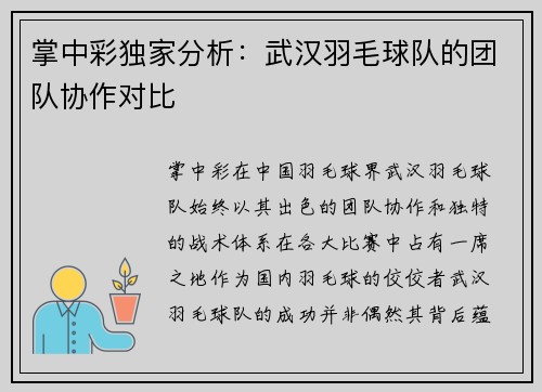 掌中彩独家分析：武汉羽毛球队的团队协作对比
