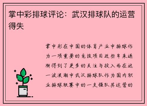 掌中彩排球评论：武汉排球队的运营得失