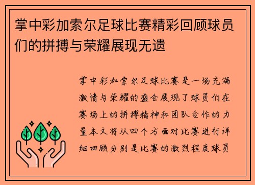 掌中彩加索尔足球比赛精彩回顾球员们的拼搏与荣耀展现无遗